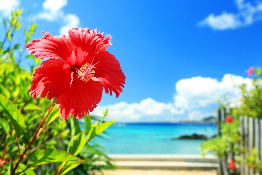 沖縄旅行が安い時期はいつ?オフシーズンの魅力やお得に行くコツも徹底解説;